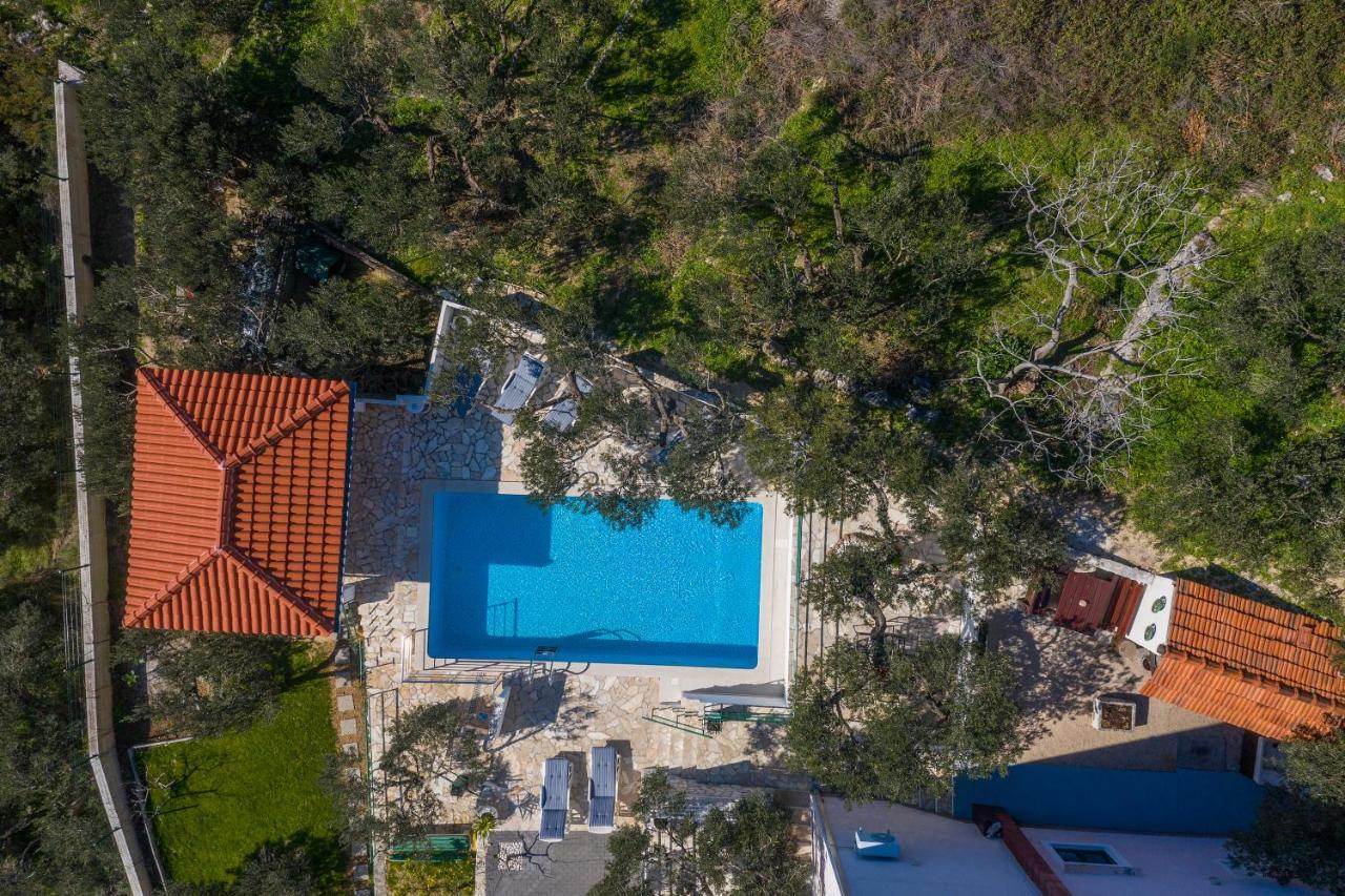 Apartment Glavina With Private Pool Μακάρσκα Εξωτερικό φωτογραφία